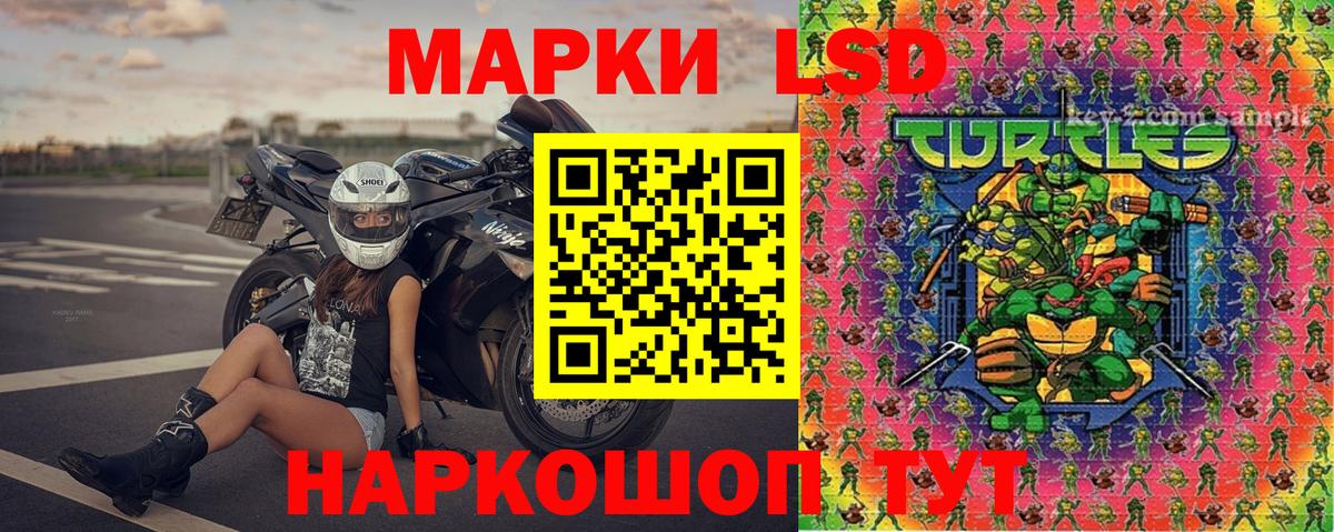Марки N-bome 1,8мг  Марки N-bome 1,8мг  Качканар  наркошоп  Вход с VPN 