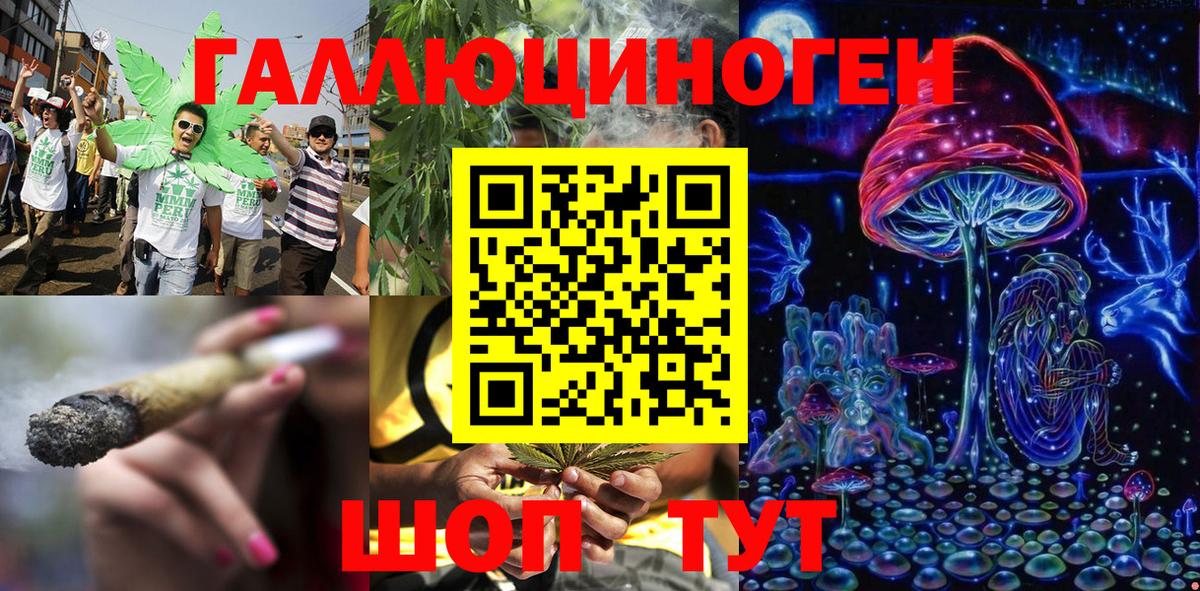 Псилоцибиновые грибы Magic Shrooms Качканар