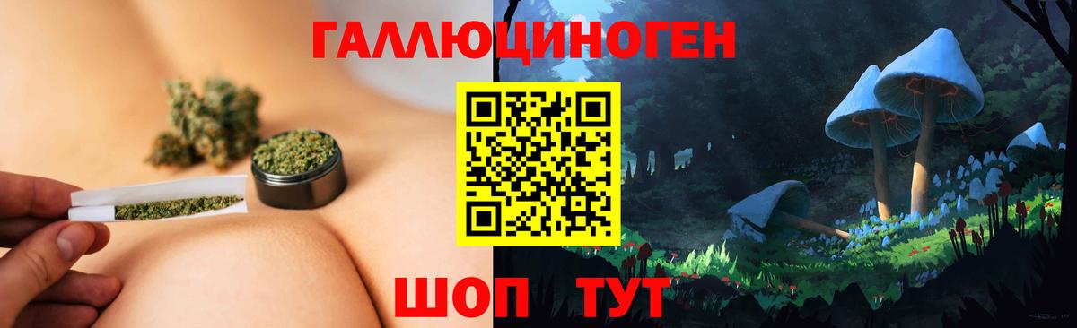 Галлюциногенные грибы MAGIC MUSHROOMS  Галлюциногенные грибы ЛСД  Качканар  Вход с VPN 
